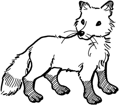 Tails Fox Coloring Pages - zoomciperqwwcc - Blog.hr