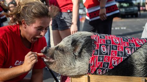 Game day with Hamilton the pig, unofficial Carolina Hurricanes mascot ...