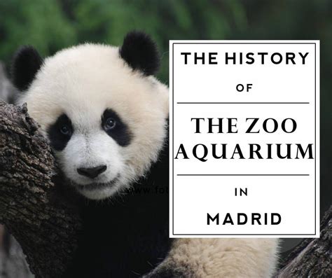 The History of the Madrid Zoo Aquarium - Citylife Madrid