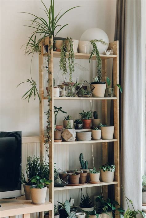 Best 8 Easy DIY Plants Shelf Ideas For Wall Decoration Your Home Interior#decoration #diy #easy ...