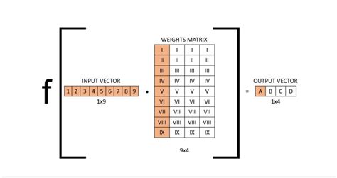 Fully Connected Layer vs Convolutional Layer: Explained | Built In