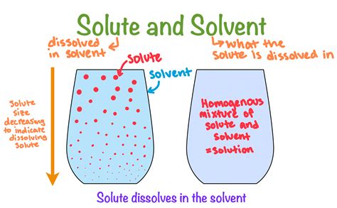 Solute and Solvent — Definition & Overview - Expii