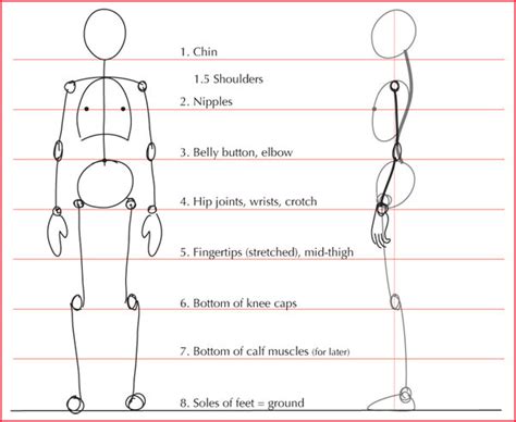 Figure Proportions Resources - Visual Art