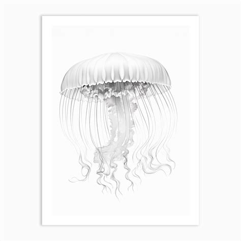 Box Jellyfish Drawing 8 Art Print by Aqua Art Gallery - Fy