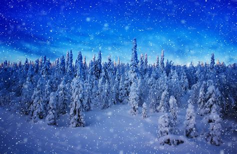 Snowing in Finnish woods landscape | Nature Stock Photos ~ Creative Market