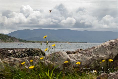 Parknasilla Lake, Kerry - Declan Howard Photography