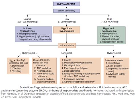 Diagnostic Algorithm of Hyponatremia - MEDizzy