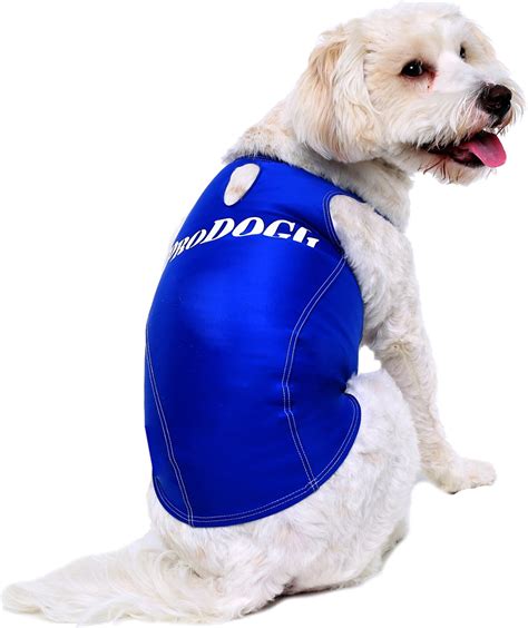 PRODOGG Anxiety Vest for Dogs, Royal Blue, Small - Chewy.com