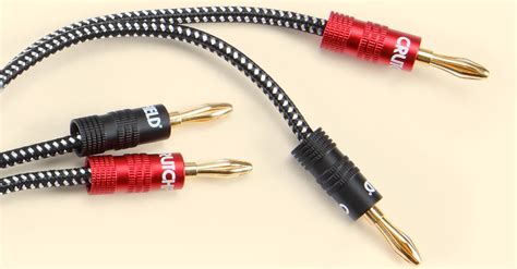 Speaker wire guide