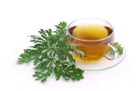 Wormwood Recipe for Arthritis | Top Natural Remedies