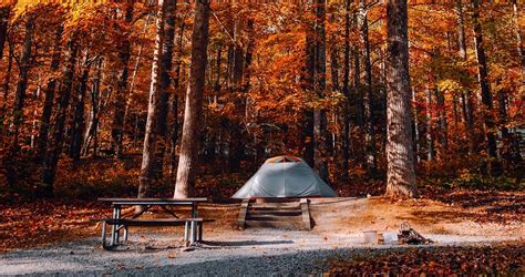 Fishing and Ghost Town Camping at Elkmont Campground, TN