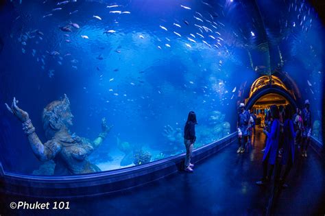 Aquaria Phuket at Central Floresta - Phuket New Aquarium - PHUKET 101