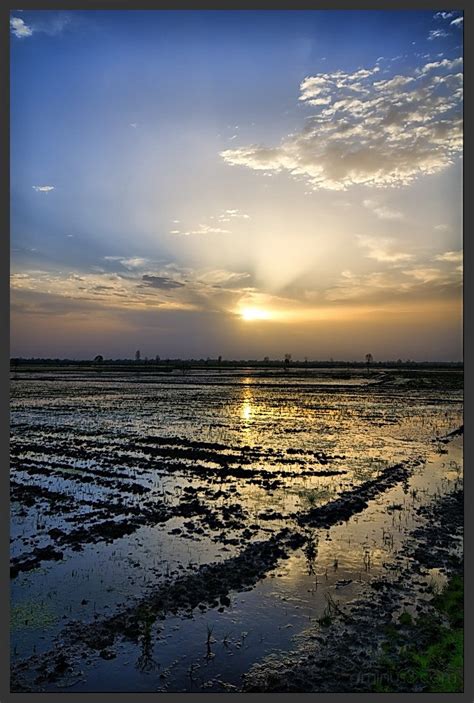 Watching the sunrise at paddy field. - Landscape & Rural Photos - EXPOSE GALLERY