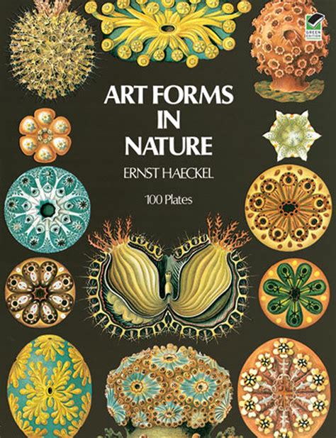 Art Forms in Nature eBook by Ernst Haeckel - EPUB | Rakuten Kobo United States