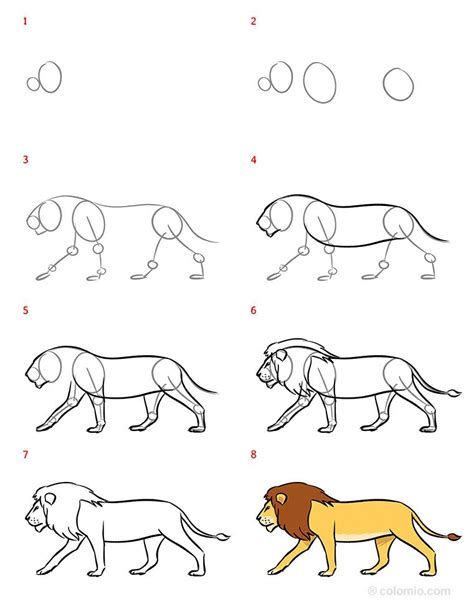 How To Draw A Lion Step By Step