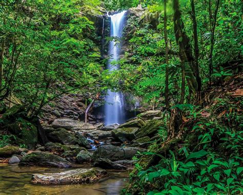 Waterfalls in Trinidad