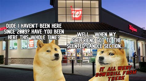 Doge funny | /r/dogelore | Ironic Doge Memes | Know Your Meme