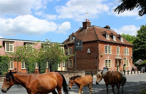 The Bell Inn New Forest - cosy coaching inn with rooms - ALadyofLeisure