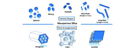 | Various types of mesoporous silica nanoparticles can be designed... | Download Scientific Diagram