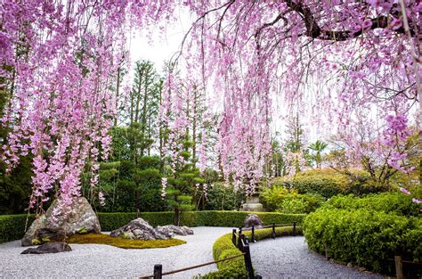 9 Traditional Japanese Plants for Your Garden