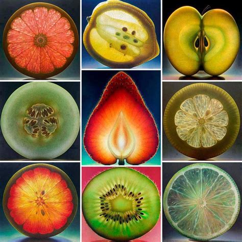 Nature geometry | God's Design in Nature | Pinterest