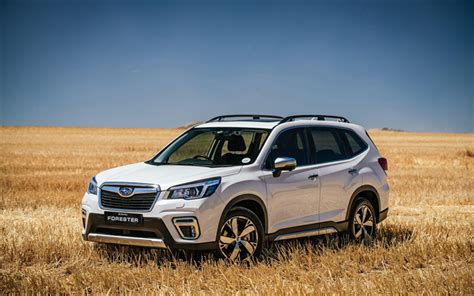 Download wallpapers Subaru Forester, offroad, 2019 cars, SUVs, white ...