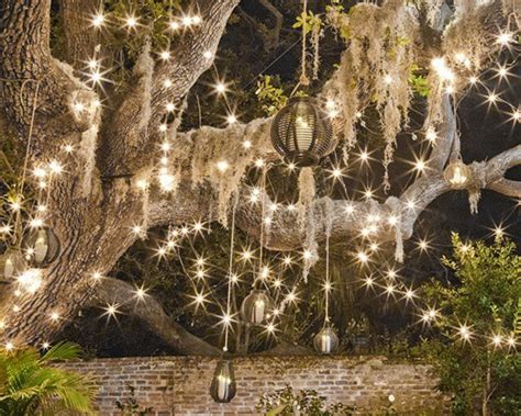 Tree twinkle lights | Outdoor garden lighting, Backyard lighting, Backyard