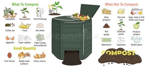 Infographic of Garden Composting Bin with Scraps. What To Compost ...