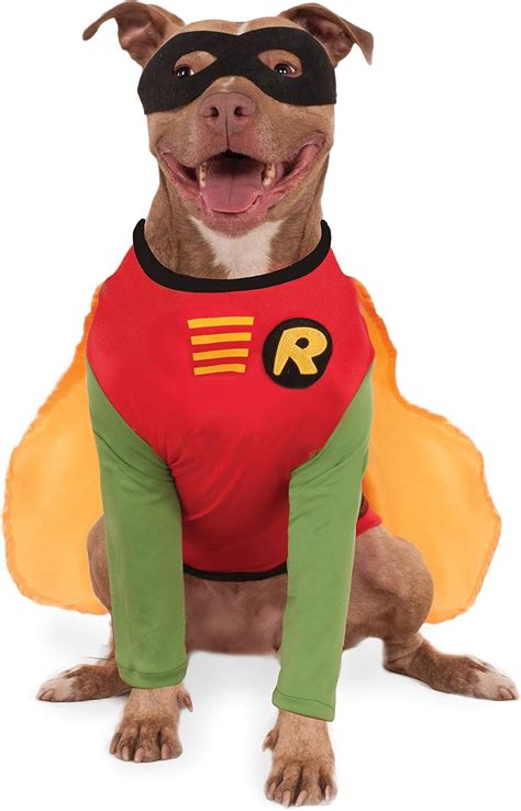 Superhero Dog Costumes and Ideas + Where to Buy Online!