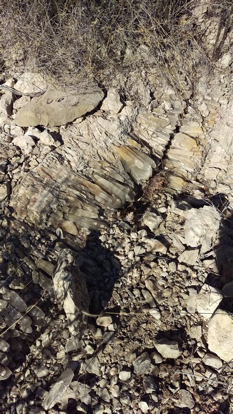 Interesting quartz formation. Black Gap WMA, TX [OC] [3024x5376] : r/geologyporn