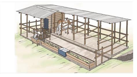 Cattle shed Design and construction information