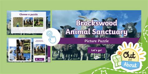 FREE! - Brockswood Animal Sanctuary Picture Puzzle - Twinkl