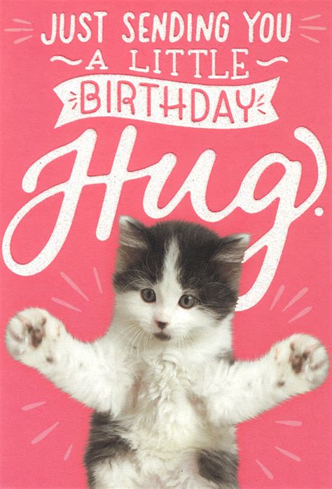 Buy Woof & Purr Greeting Card - Birthday Hug at Mighty Ape Australia