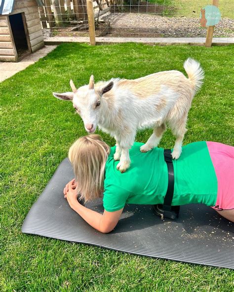 You Can Do Yoga With Baby Goats At This Yorkshire Farm