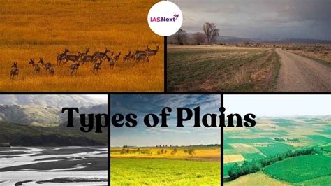 Types of Plains