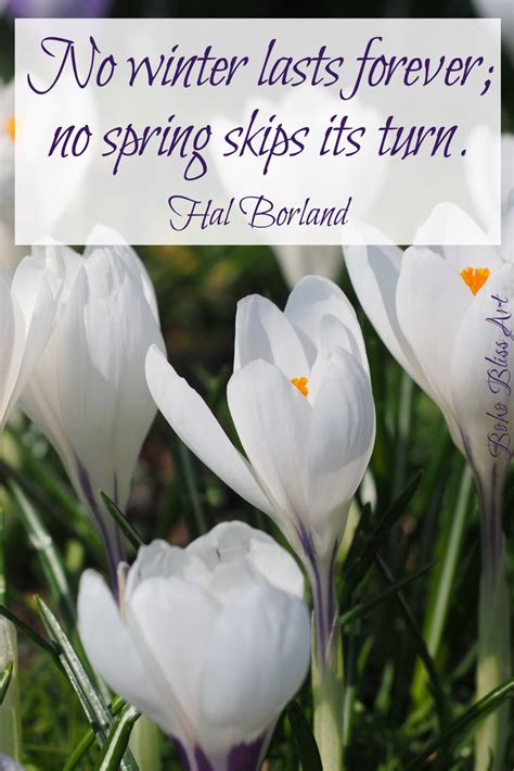 Funny Spring Flower Quotes - ShortQuotes.cc