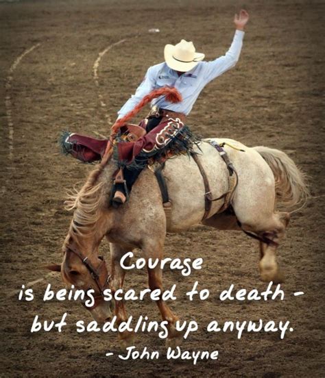 Pin by Ivy Thompson on rodeo | Rodeo quotes, Bull riding quotes, Cowboy quotes