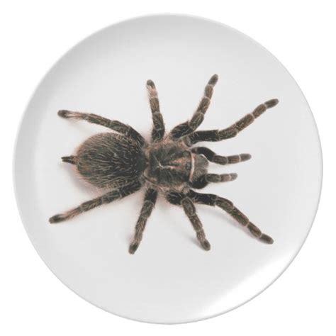 Tarantula Spider Dinner Plate. Plate | Zazzle.co.uk