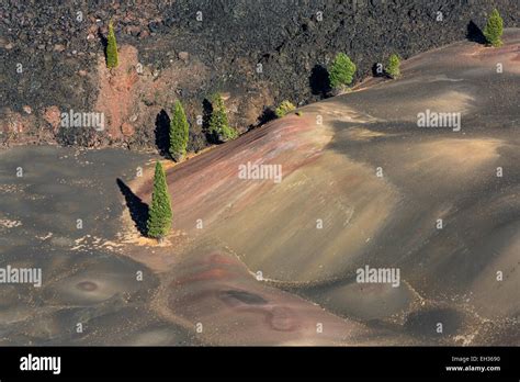 The Painted Dunes, colored by oxidation of cinders and ash, viewed from the rim of Cinder Cone ...