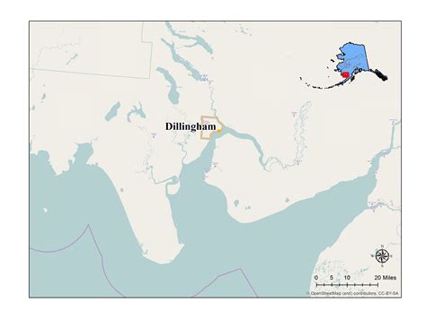 Dillingham, Certified Local Government