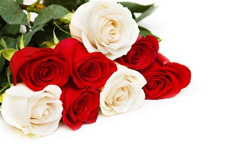 Download wallpapers bouquet of red and white roses, red roses, white roses, roses on a white ...