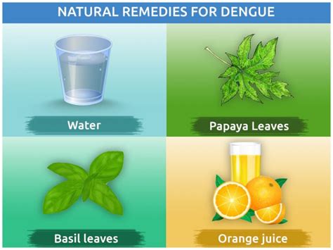 Natural Remedies for Dengue Fever Treatment at Home