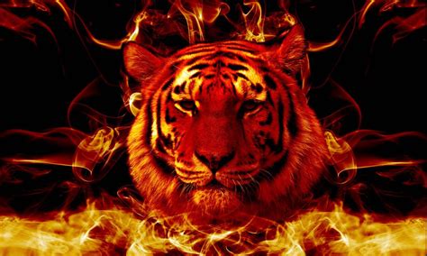 Hot Tiger Fire Wallpaper | Fire Flame Collection | Pinterest | Fire, Wallpapers and Wallpaper ...