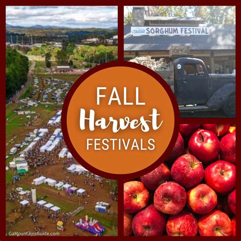 Autumn Harvest Festivals in Scenic North Georgia Mountains🍂