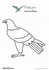 Falcon Coloring Pages For Kids – Free Printables  Art & Craft sketch template