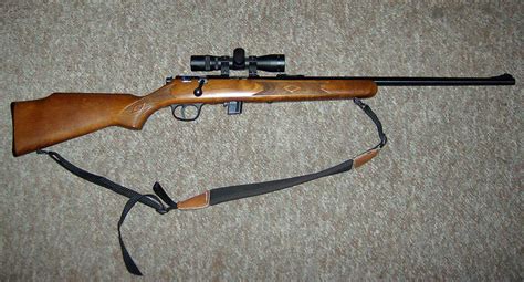 Inexpensive .22 rifle?