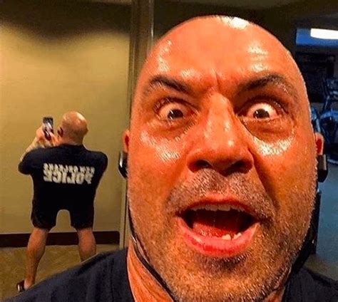 Joe "Squarepants" Rogan : r/JoeRogan