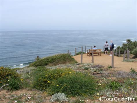 Torrey Pines State Park - TourGuideTim Reveals San Diego!