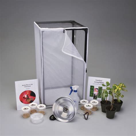 Deluxe Butterfly Habitat Complete Kit (with perishables) | Carolina ...