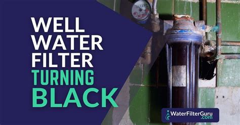 Well Water Filter Turning Black (13 Common Causes)
